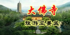草草草鸡巴乳房黄色视频中国浙江-新昌大佛寺旅游风景区